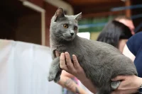 Výstava Praha - Letizia