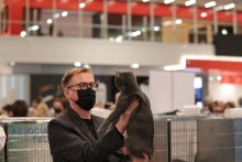 Vicenza Italy - World Show 2021