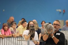 MVK Ostrava 2022 - Eros Della Francigena