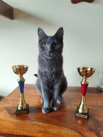 Výstava Karlovy Vary - Electra BIS