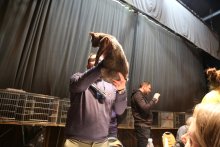 Francesco Cinque - judges Goccia Lacay Bleu