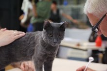 IK Rothenburg Switzerland 2022