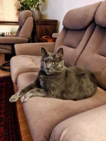 Deianeira Blue Alchemist narozeniny 2026 Deianeira Blue Alchemist narozeniny 2026