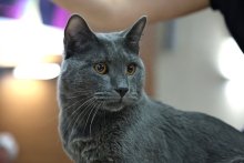 MVM Banská Bystrica 2022 - John Lacay Bleu