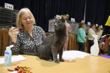 MVM Viničné 2022 - Amonet Blue Alchemist