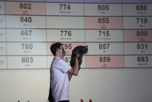 Vicenza Italy - World Show 2021