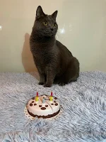 Anubis The Legacy Blue Alchemist narozeniny 2025