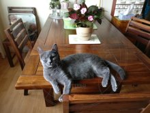 Arduin - Amonet Blue Alchemist