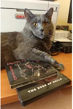 John a The Book of Souls