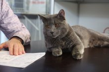 MVK Olomouc 2022 - John Lacay Bleu