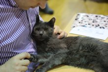 MVM Viničné 2022 - John Lacay Bleu