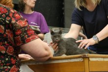 Národní výstava Kolín 2022