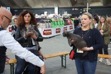 Worldshow 2022 Mechelen - Blue Alchemist and Lacay Bleu