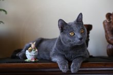 Eros